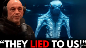 Saw While Diving in the Ocean